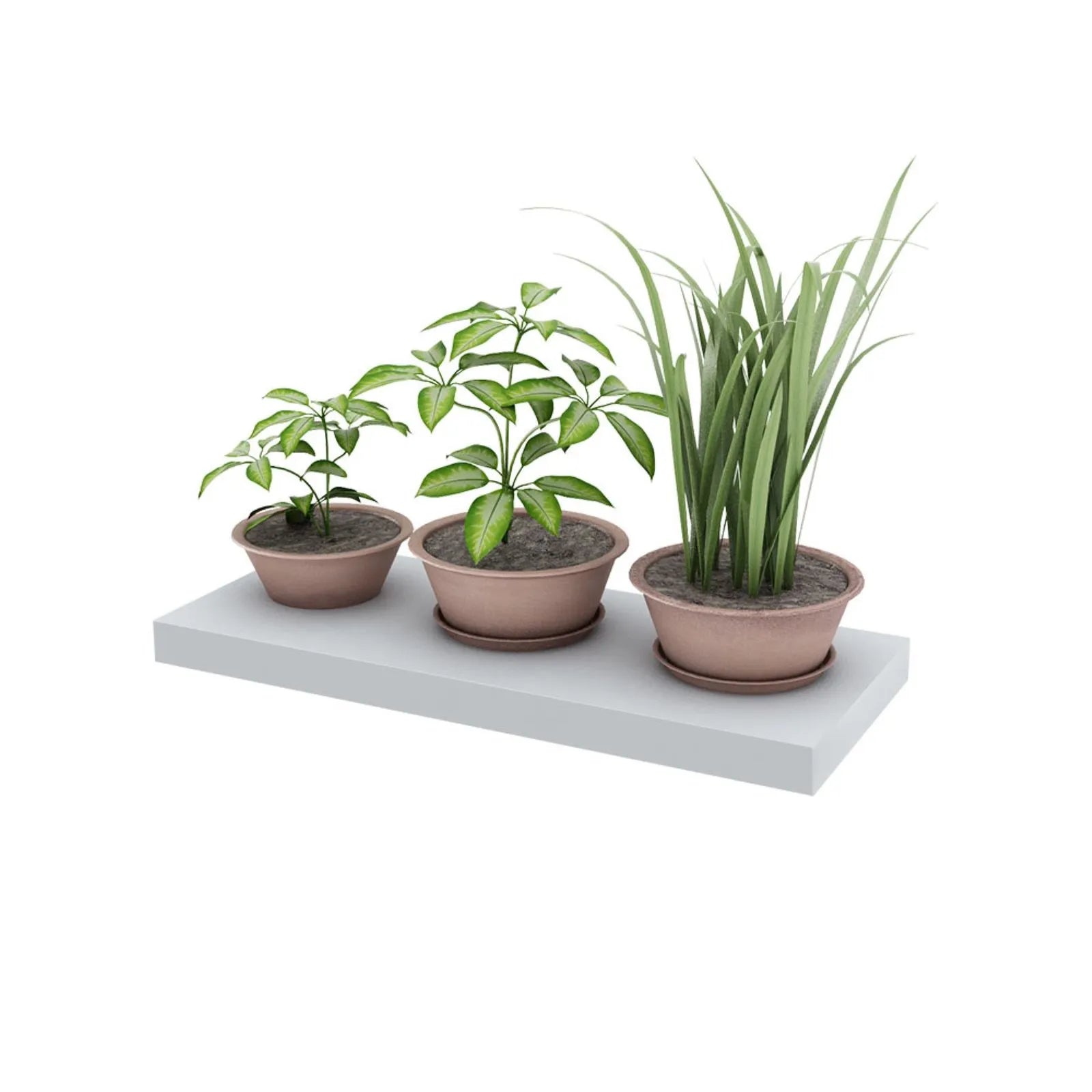 Estante flotante Centro Estant 60 x 25 cm. blanco
